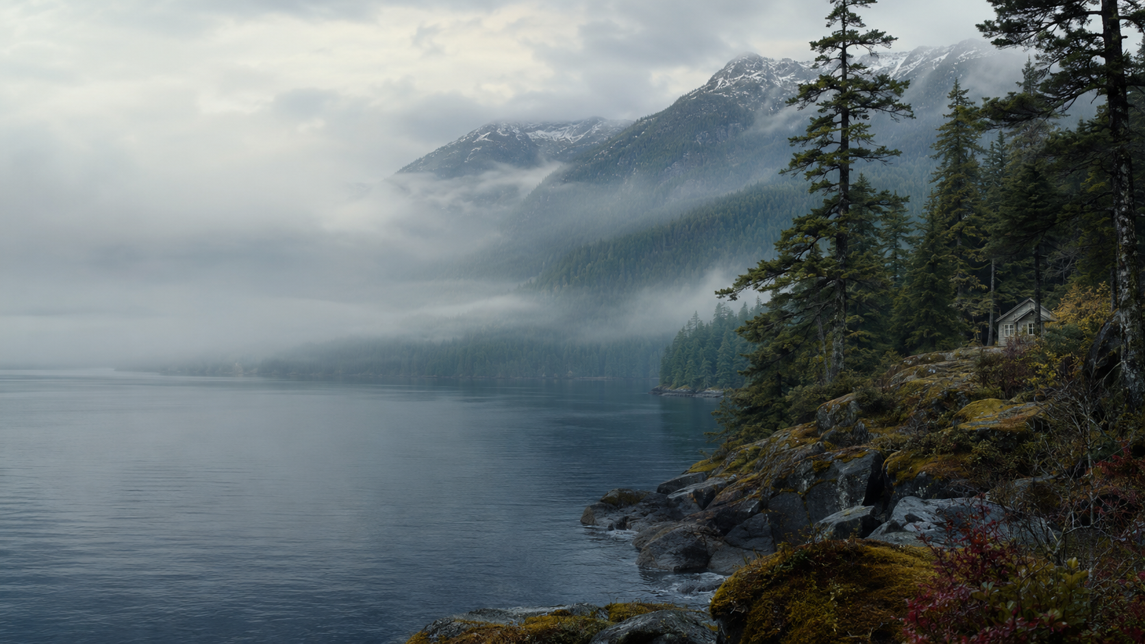 A quiet Pacific Northwest inlet framed by evergreen forest and low mist